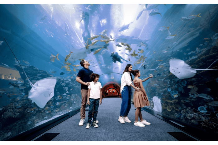 Dubai Wild Wadi Water Park Tickets Price in UAE - 2026