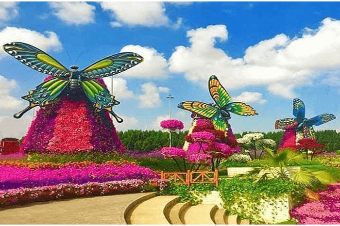 Dubai Butterfly Garden Tickets Price in UAE - 2026