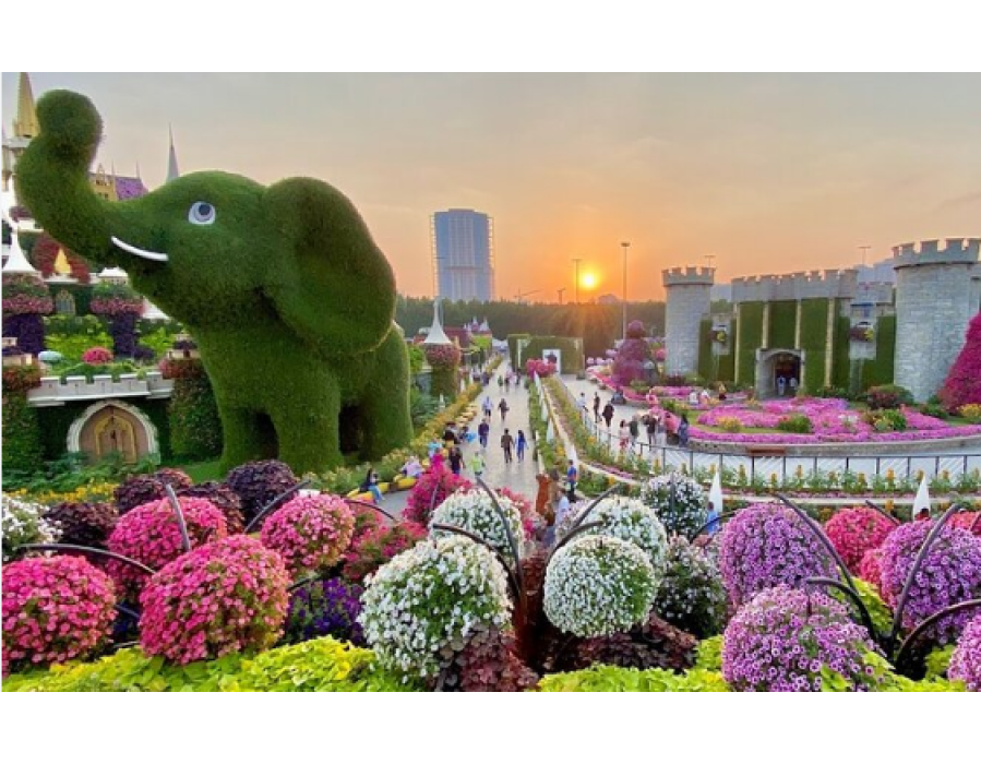 Dubai Miracle Garden Ticket Price in UAE - 2026
