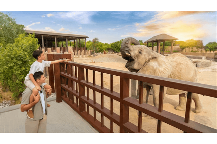 Dubai Safari Park Tickets Price in UAE - 2026