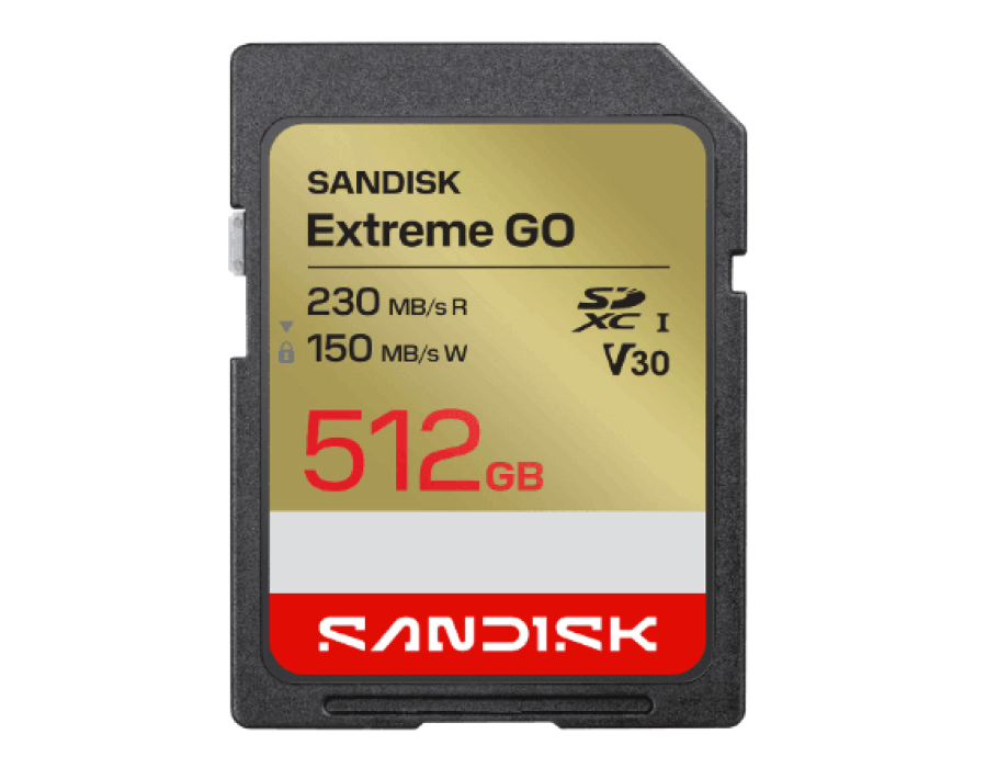 SanDisk Extreme Go MicroSDXC SD Card Price in UAE - 2026