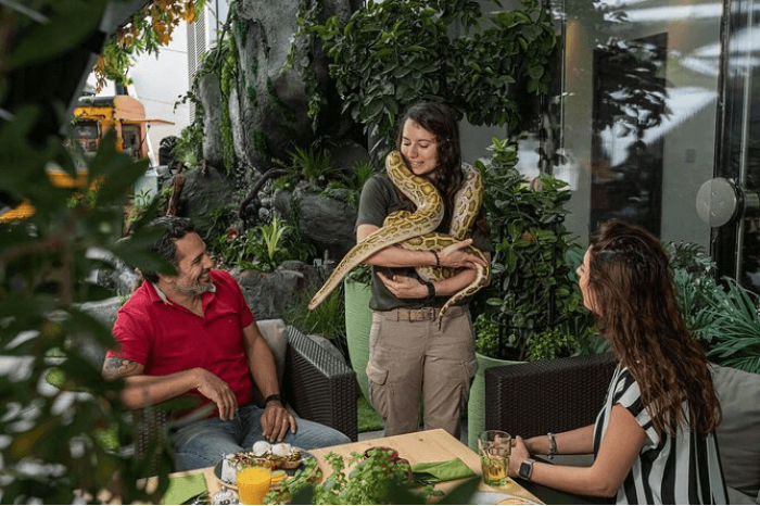 The Green Planet Dubai Tickets Price in UAE - 2026